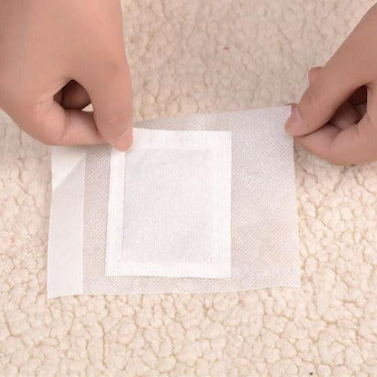 Flasteri Za Čišćenje Organizma