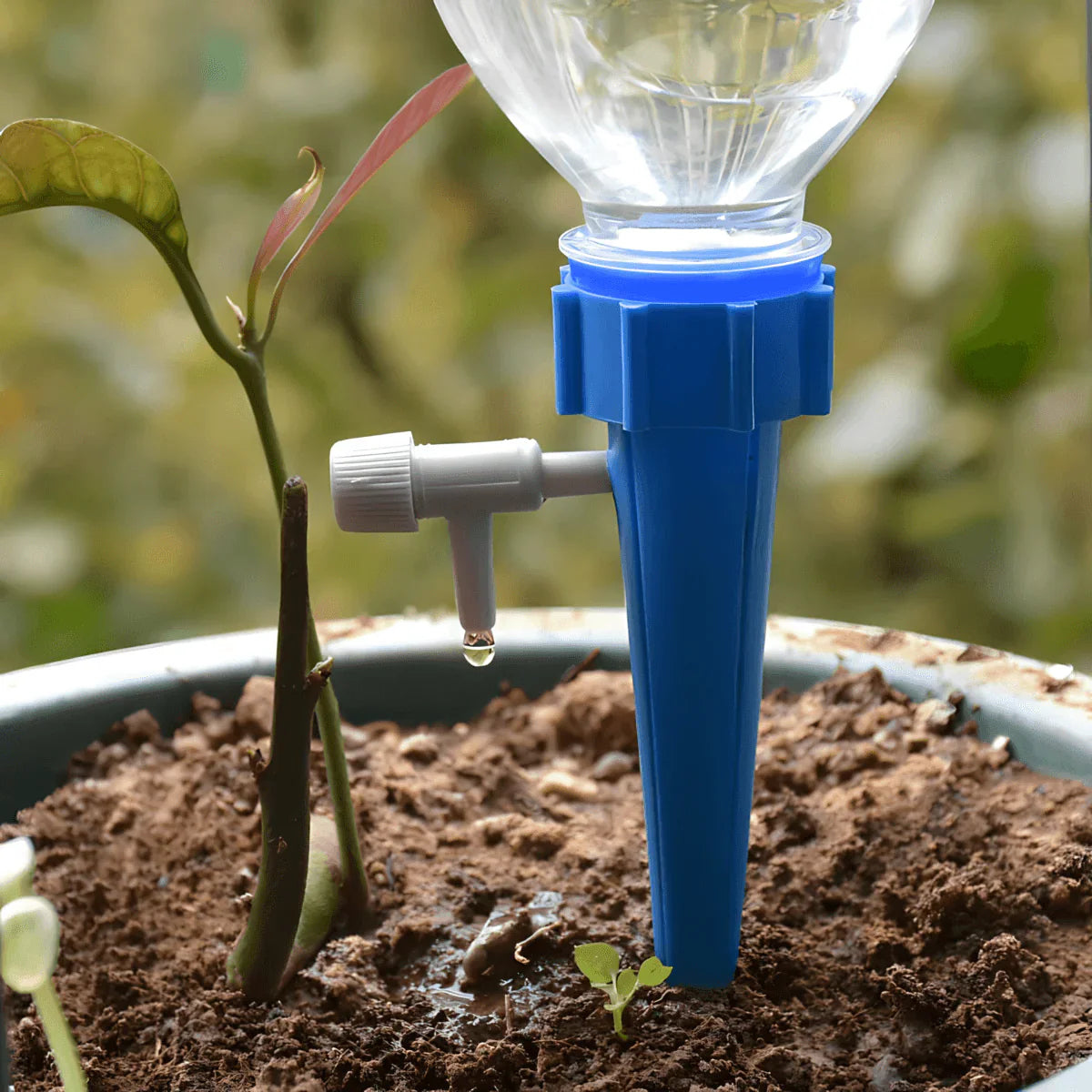 Kap po Kap Sistem za Zalivanje